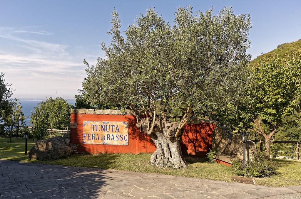 Agriturismo Pera Di Basso Ischia Kültér fotó