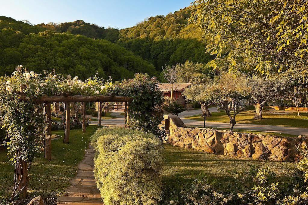 Agriturismo Pera Di Basso Ischia Kültér fotó